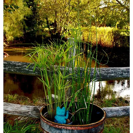 بيت للعطل De Groupe 